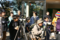■2月イベント・「鳥たちと遊ぶ」_b0049307_19554735.jpg