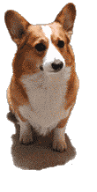 c0009855_21251383.gif