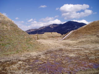c0039428_23191210.jpg