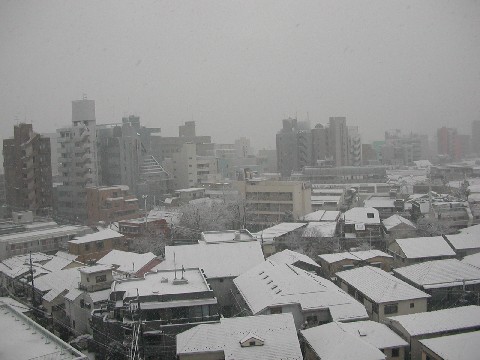 b0017892_85831.jpg