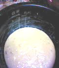 b0042508_23322276.jpg