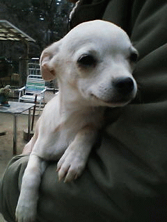 a0019637_2365728.gif