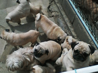 a0019637_2374660.gif
