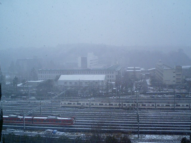 3/4　金　　　雪_c0030950_804533.jpg