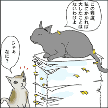 a0001756_2318165.gif