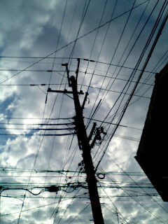 electric wires_c0050998_19114339.jpg