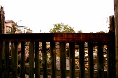 b0053019_22291719.jpg