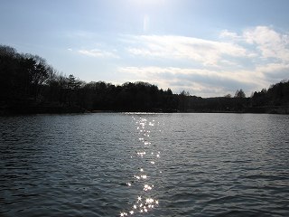 b0066260_1726054.jpg