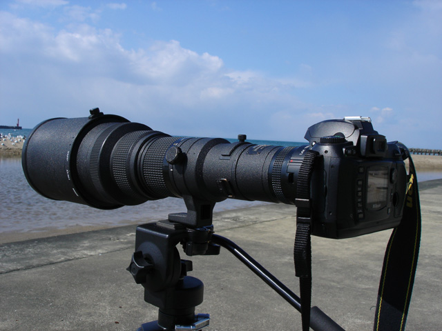 Ai Nikkor ED 500mm F4P : 淡路島の野鳥 Blog
