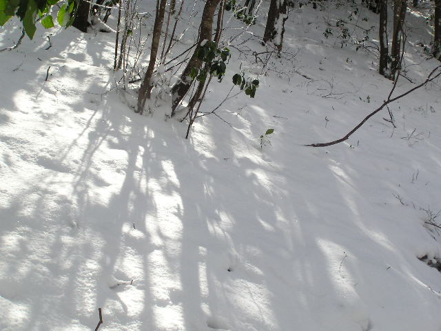 c0042869_21391186.jpg