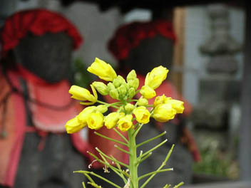 c0063905_1581826.jpg