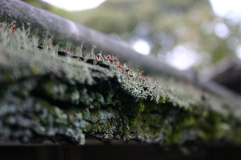 c0057800_0275126.jpg