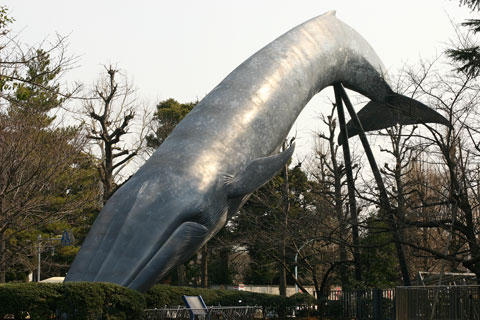c0057800_0485487.jpg