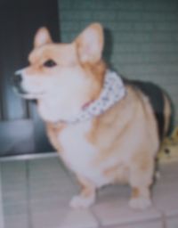 c0009855_16484363.jpg