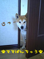 c0060620_12101379.jpg
