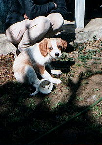 c0073018_1493313.jpg