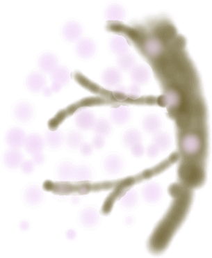 b0016976_23273833.gif