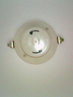 b0039090_21258.jpg
