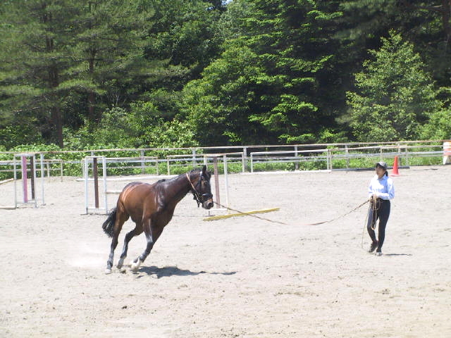 八ヶ岳高原の乗馬クラブ_c0068645_1361741.jpg