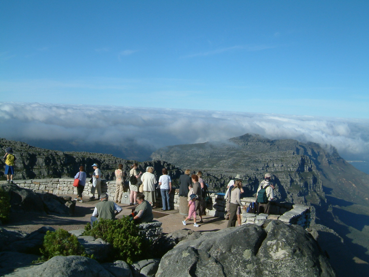 c0011649_812226.jpg