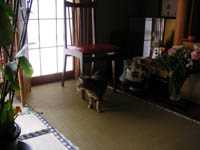 b0051052_17392552.jpg