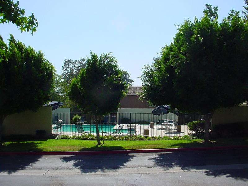 c0050769_11155440.jpg
