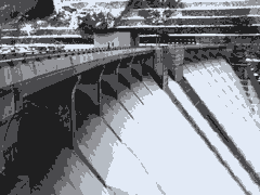 b0022288_2363640.gif