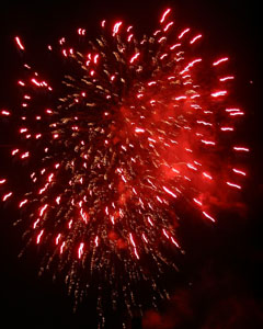 b0040606_82748.jpg