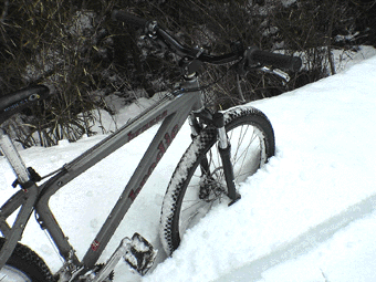 a0026445_18354593.gif