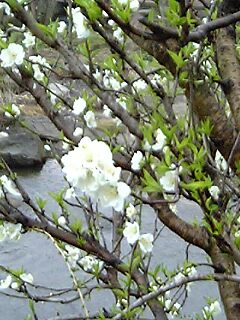 c0037701_2232275.jpg