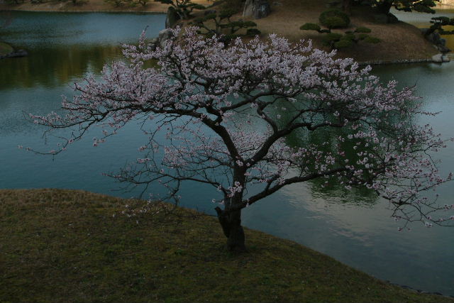 b0027880_22132433.jpg