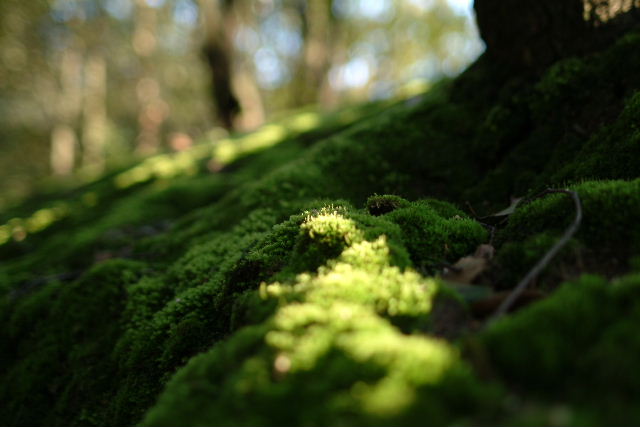 b0027880_22142512.jpg