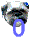 b0054283_18361165.gif