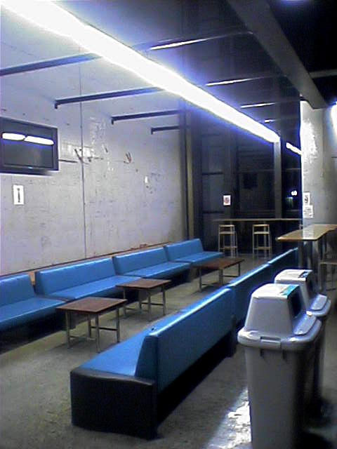 先見の明_a0036051_095165.jpg