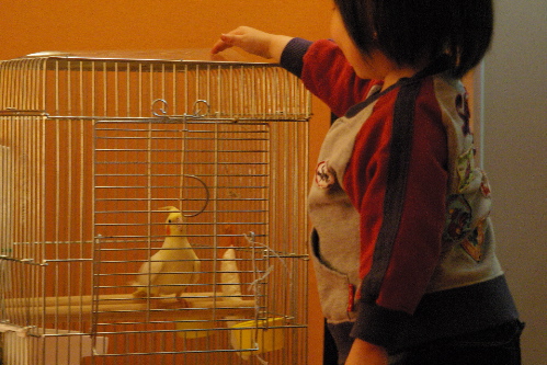 ポキート in tamas展_c0032056_16461778.jpg