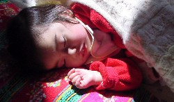 c0072572_2051536.jpg