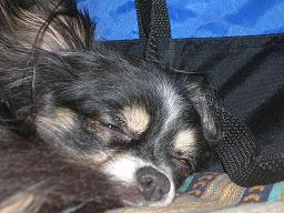 c0004744_14462069.jpg