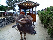 a0003089_21139.jpg