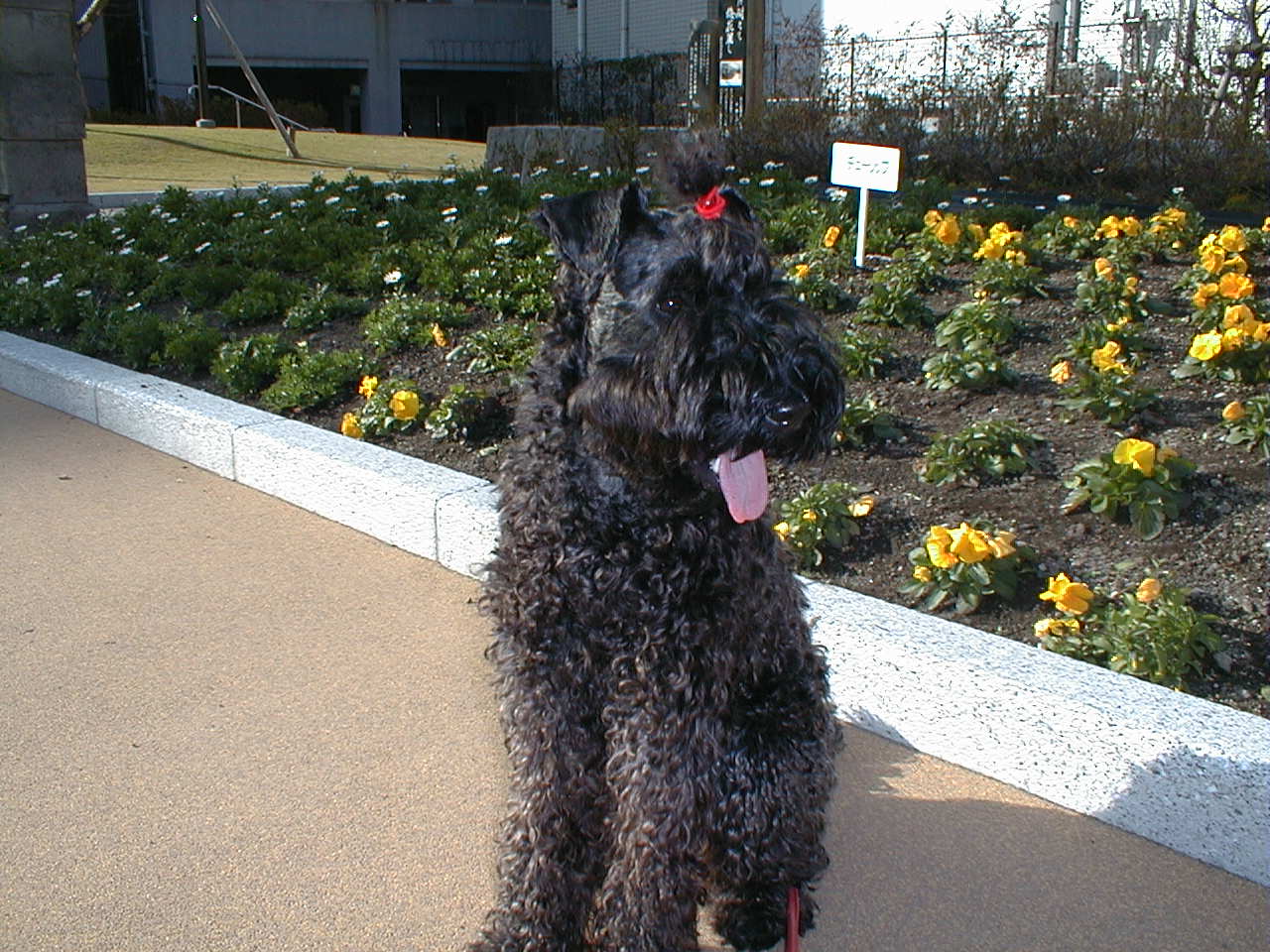 c0037701_0252285.jpg