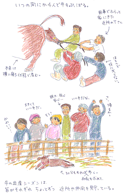 b0015222_221151100.gif