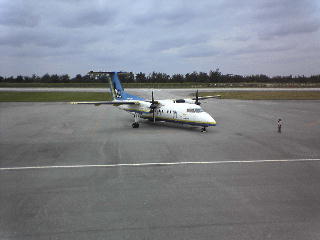 c0046030_2144810.jpg