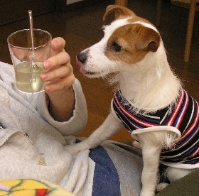 b0065067_13505.jpg