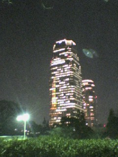 b0051084_04351.jpg