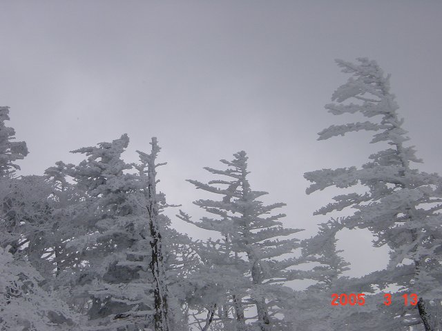 c0029332_16242499.jpg