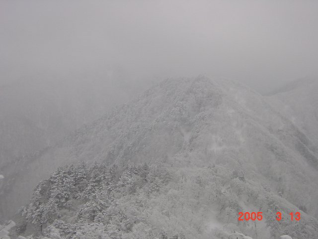 c0029332_16243644.jpg