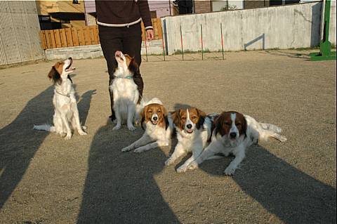 c0075585_0383517.jpg