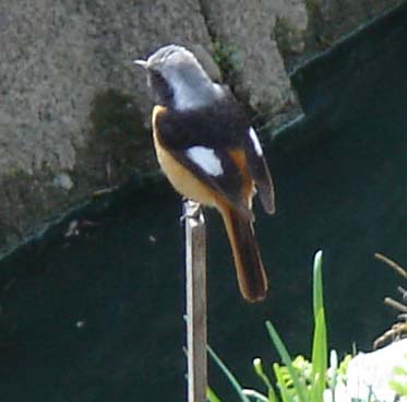 b0001286_2235278.jpg