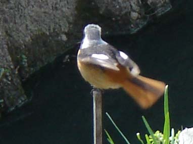 b0001286_22365143.jpg