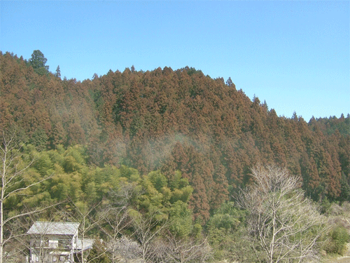 c0022913_15233285.gif