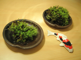 c0069552_231567.jpg
